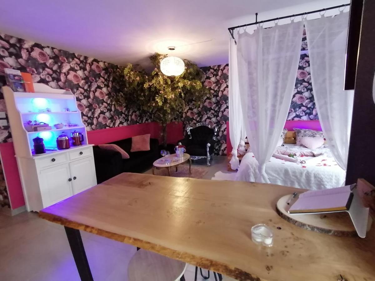 Romantisme Et Glamour 2 Avec Spa , Clim Et Jardin Dijon Exteriör bild
