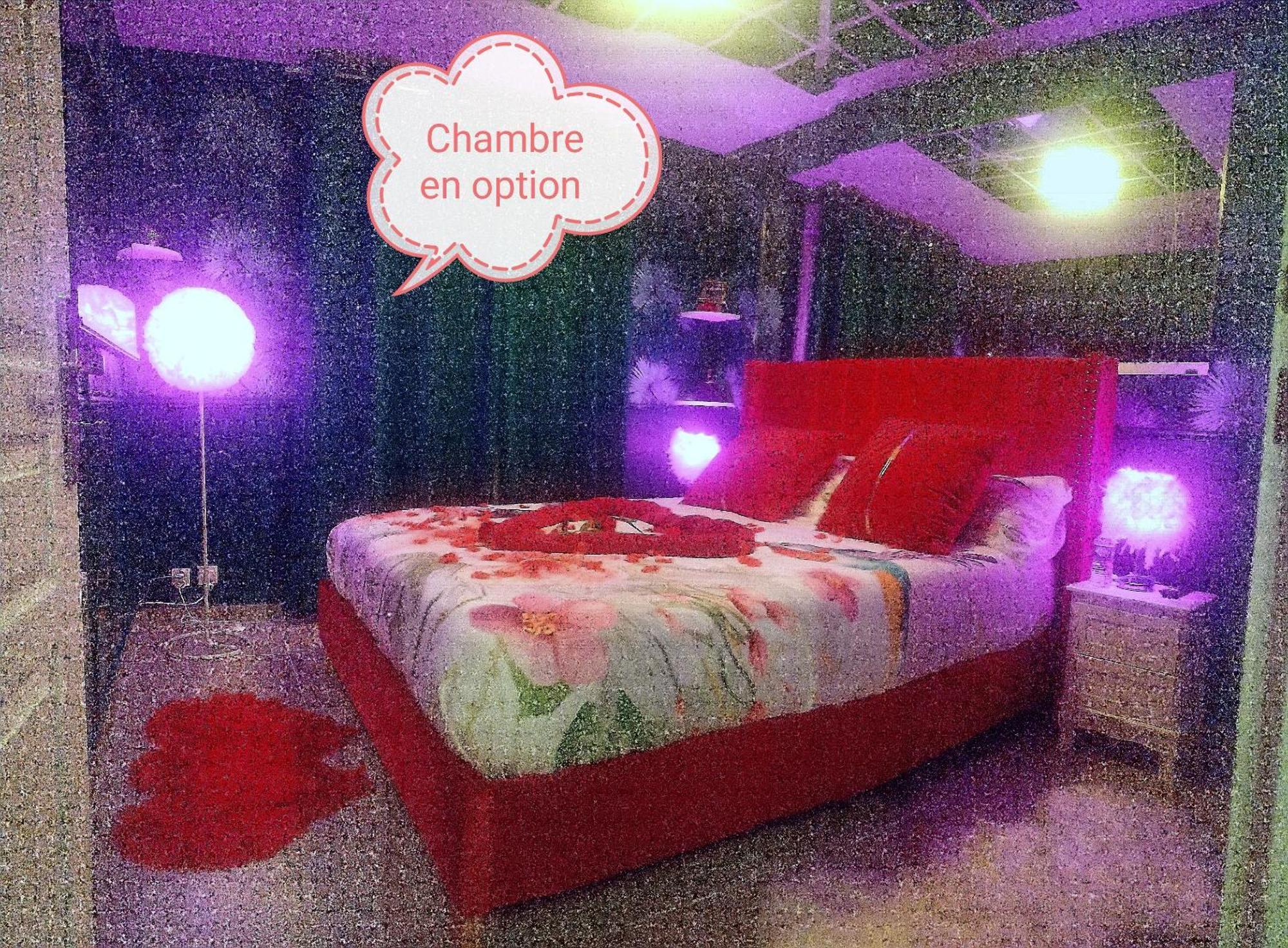 Romantisme Et Glamour 2 Avec Spa , Clim Et Jardin Dijon Exteriör bild